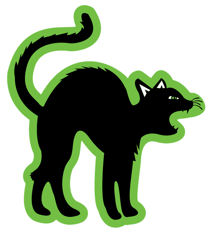 Black Cat Hiss