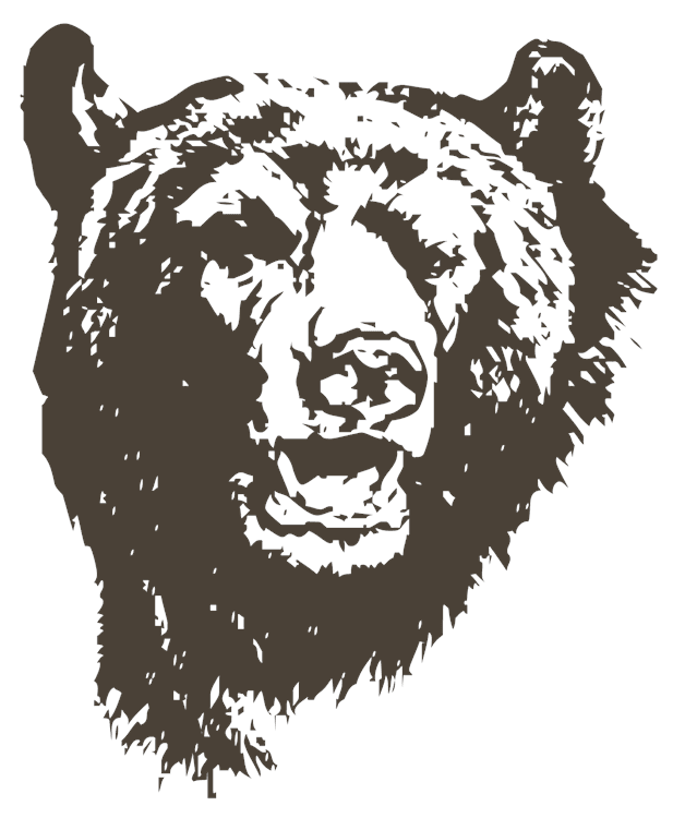 Bear Head Drawing