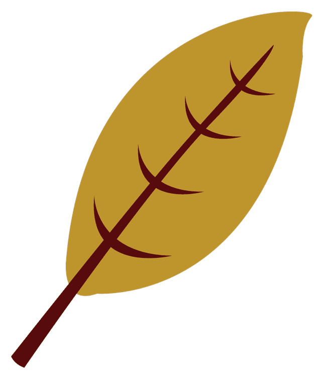 Fall Leaf