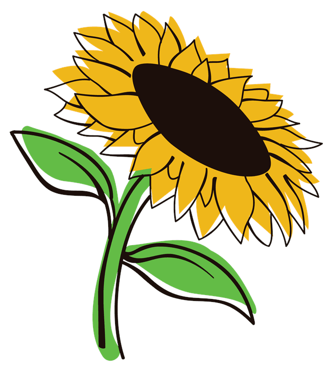 Aesthetic Sunflower