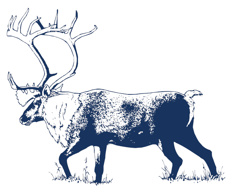 MP_Moose