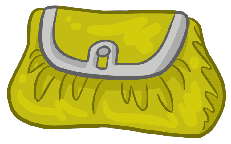 purse 2