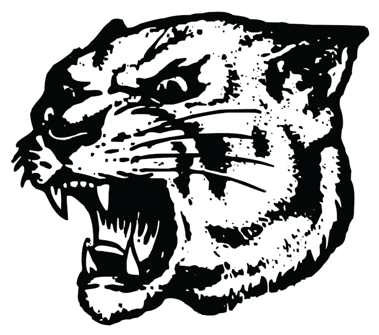 MP_panther