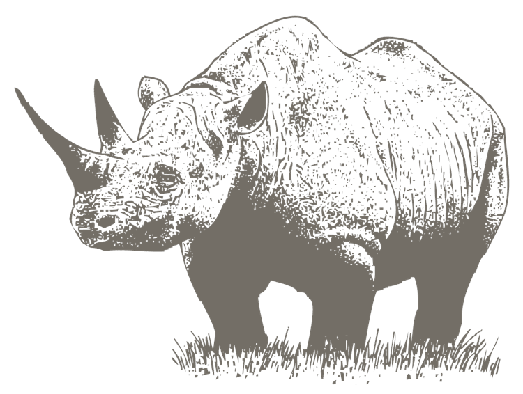 MP_Rhino