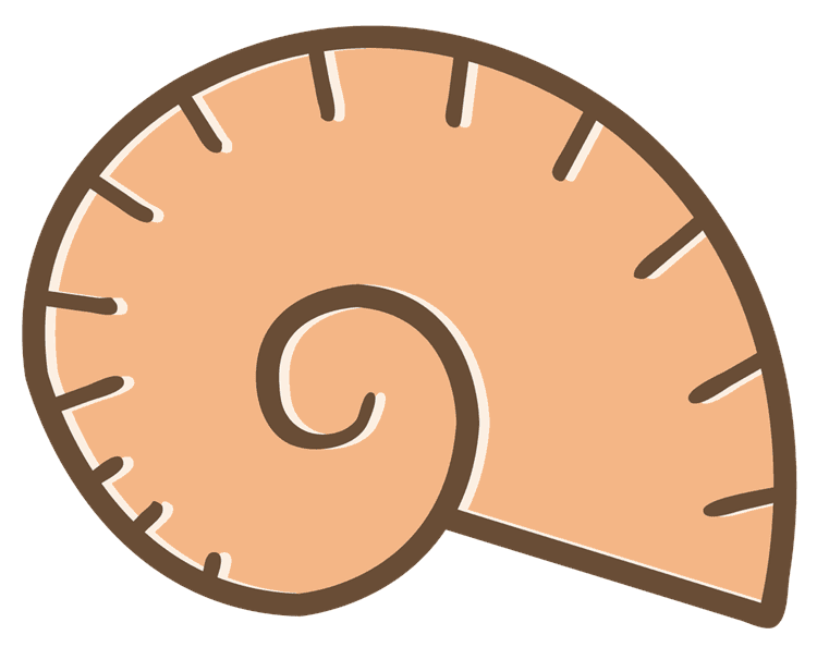 Snailshell 2