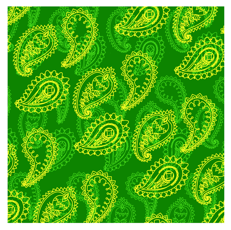 paisley-new