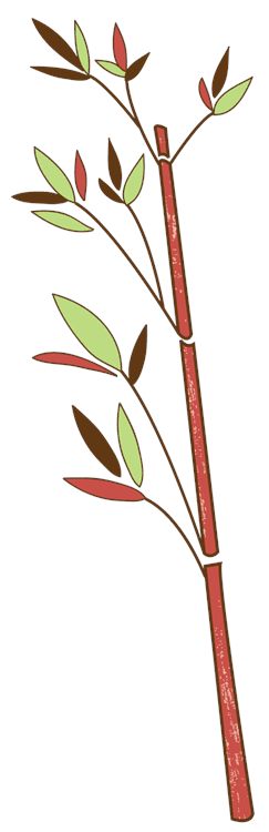 bamboo