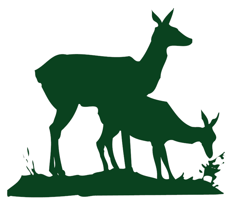 MP_2_Deers