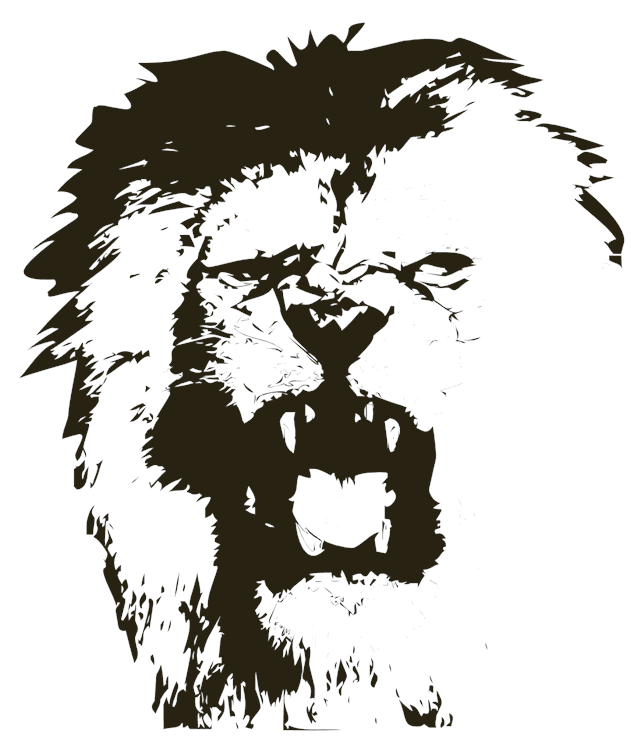 Lion Head Drawing
