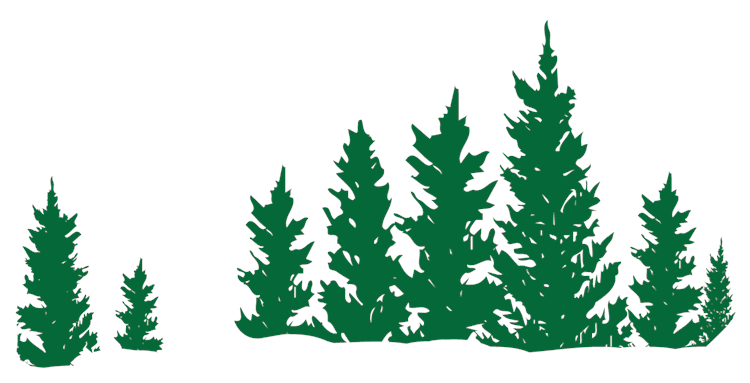 Evergreens