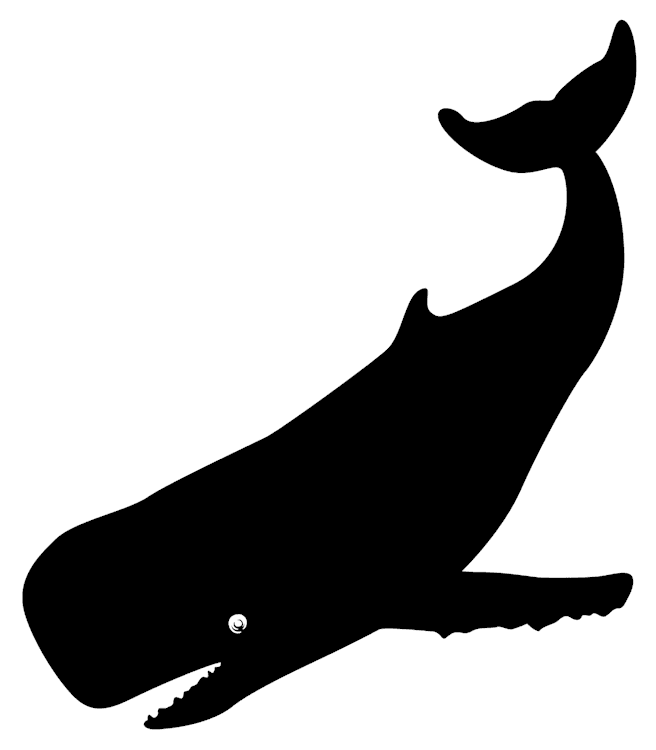 whale