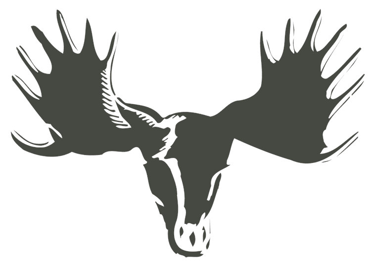 Deer Head Skull