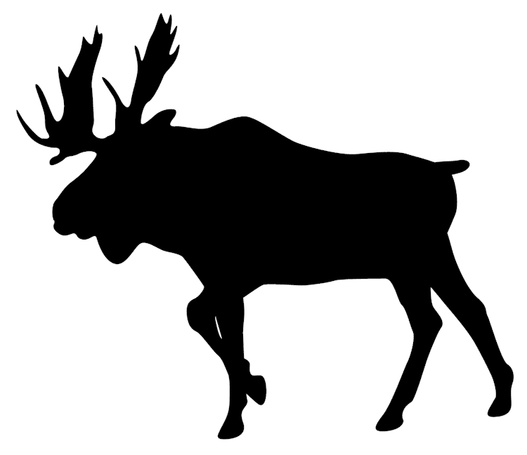 Moose