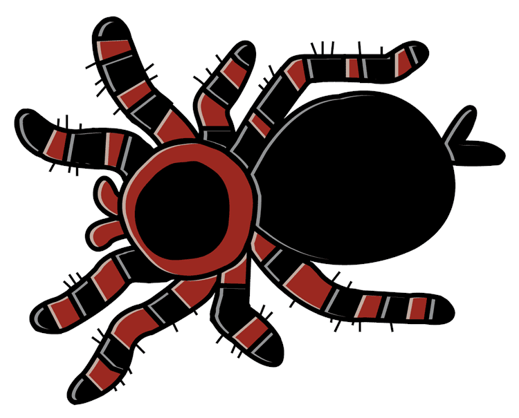 Hairy spider