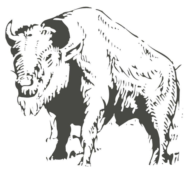 MP_Buffalo