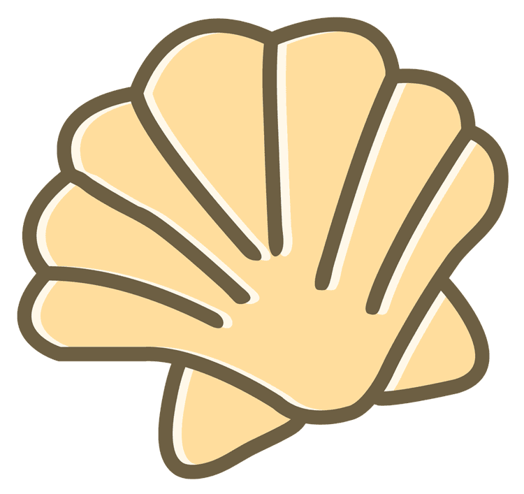 Shell 5